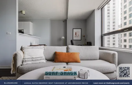 1 Bedroom Streeterville Apartment