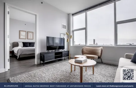 1 Bedroom South Loop Apartment