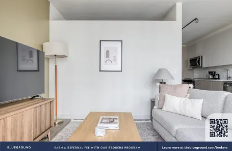 1 Bedroom South Loop Apartment