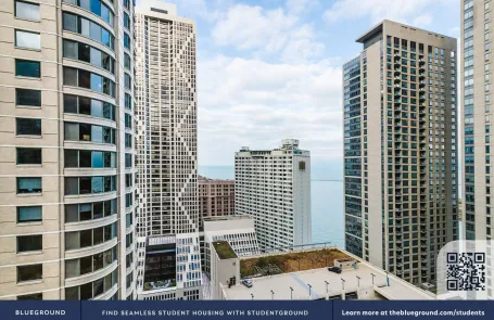 1 Bedroom Streeterville Apartment