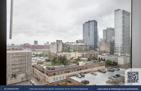 1 Bedroom South Loop Apartment