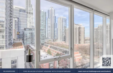 1 Bedroom South Loop Apartment