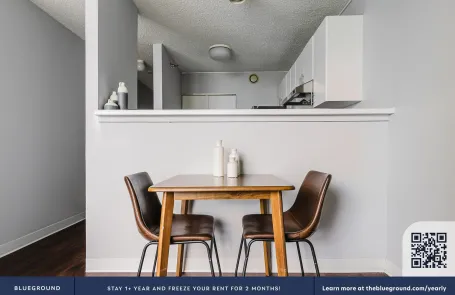 1 Bedroom Streeterville Apartment