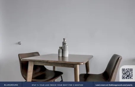 1 Bedroom South Loop Apartment