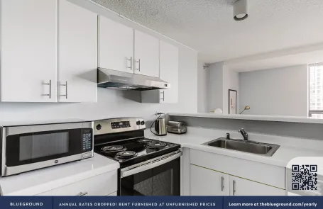 1 Bedroom Streeterville Apartment