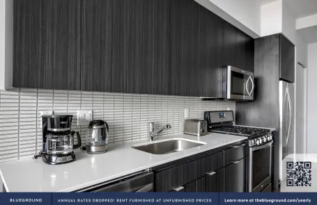 1 Bedroom South Loop Apartment