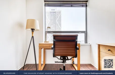 1 Bedroom Streeterville Apartment