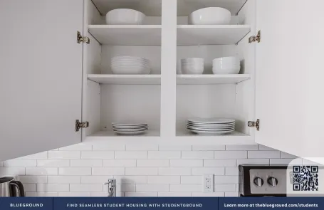 1 Bedroom Chicago Loop Apartment