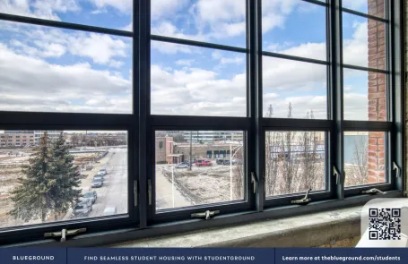 1 Bedroom Lincoln Park Apartment
