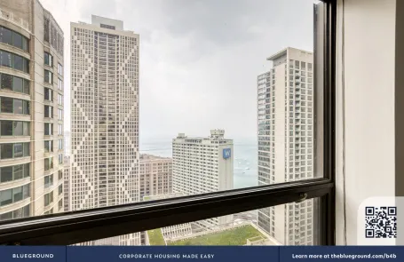 1 Bedroom Streeterville Apartment