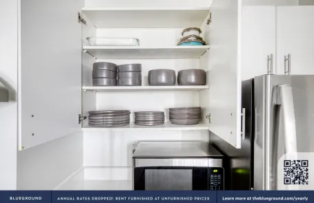 1 Bedroom Streeterville Apartment