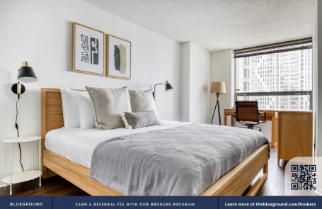 1 Bedroom Streeterville Apartment