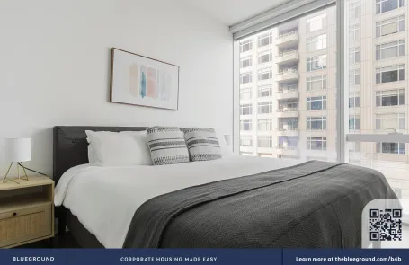 1 Bedroom Streeterville Apartment