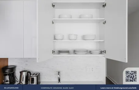 1 Bedroom Streeterville Apartment
