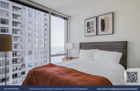 1 Bedroom Streeterville Apartment