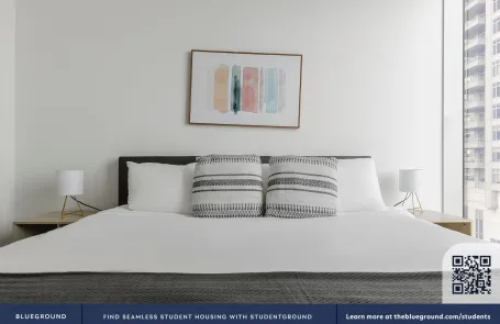 1 Bedroom Streeterville Apartment