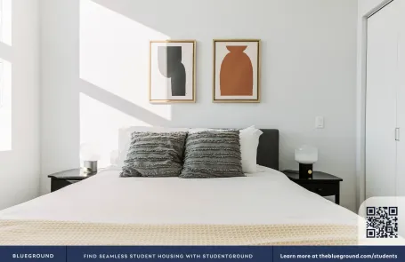 1 Bedroom South Loop Apartment