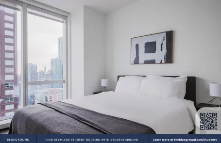 1 Bedroom Streeterville Apartment