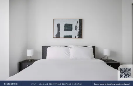 1 Bedroom Streeterville Apartment