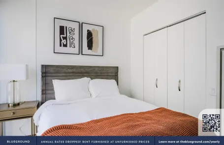 1 Bedroom Streeterville Apartment