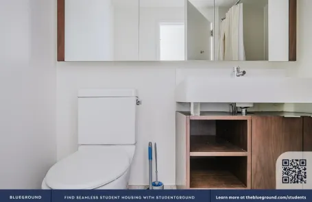 1 Bedroom Streeterville Apartment