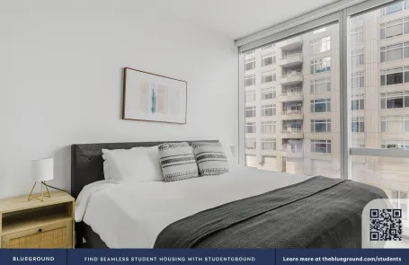 1 Bedroom Streeterville Apartment