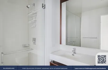 1 Bedroom Streeterville Apartment