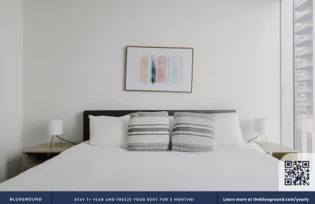 1 Bedroom Streeterville Apartment