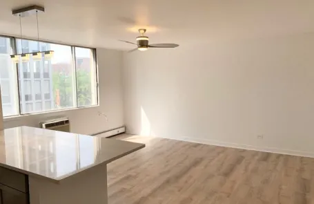 Studio Lincoln Park Apartment