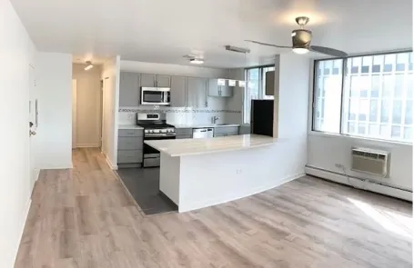 Studio Lincoln Park Apartment
