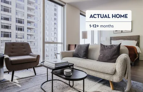1 Bedroom Streeterville Apartment