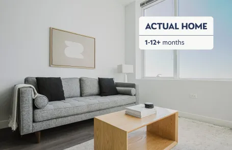 1 Bedroom South Loop Apartment