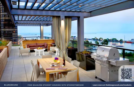 1 Bedroom Streeterville Apartment