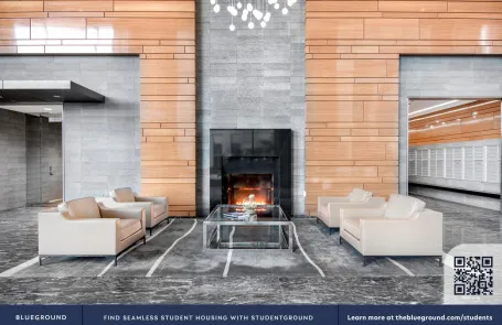 1 Bedroom Streeterville Apartment