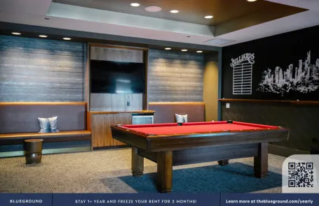 1 Bedroom South Loop Apartment