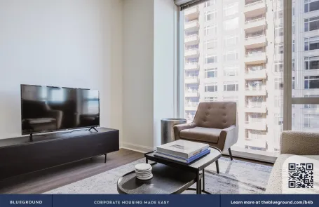 1 Bedroom Streeterville Apartment