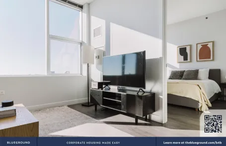 1 Bedroom South Loop Apartment