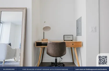 1 Bedroom Streeterville Apartment