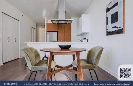 1 Bedroom Streeterville Apartment