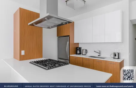 1 Bedroom Streeterville Apartment