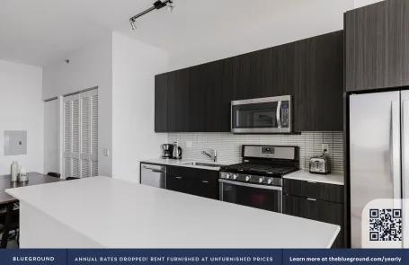 1 Bedroom South Loop Apartment