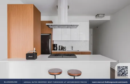 1 Bedroom Streeterville Apartment