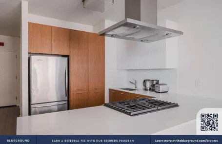 1 Bedroom Streeterville Apartment