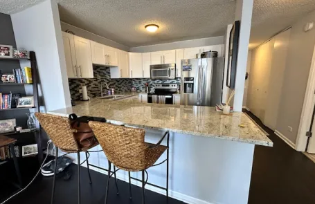 1 Bedroom River North Apartment