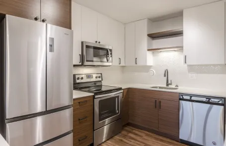 1 Bedroom South Loop Apartment