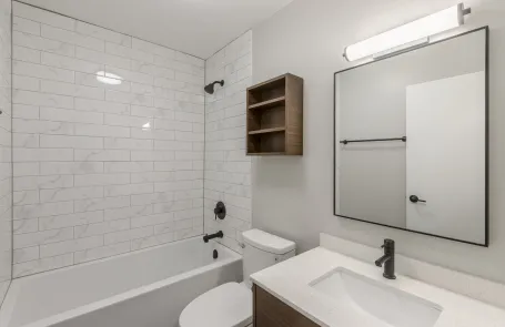 1 Bedroom South Loop Apartment