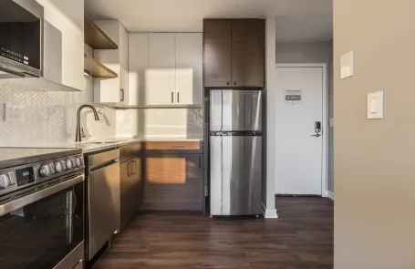1 Bedroom South Loop Apartment
