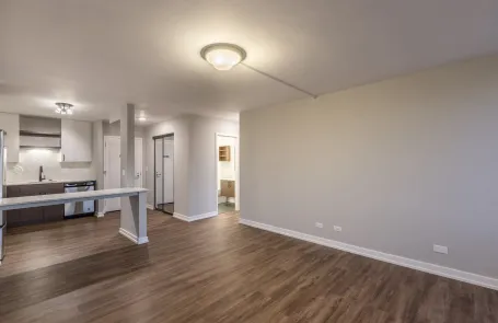 1 Bedroom South Loop Apartment