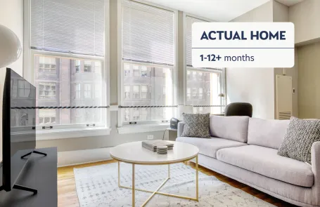 1 Bedroom Chicago Loop Apartment