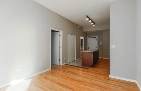 1 Bedroom Chicago Loop Apartment